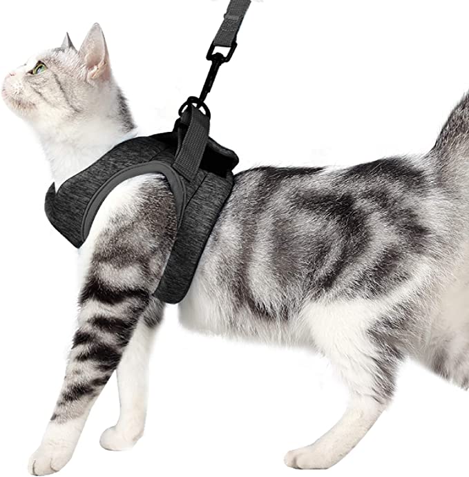 Arnés de gato y correa para caminar, a prueba de escape, ajuste universal,  fácil de controlar, transpirable y suave con tiras reflectantes, elegante
