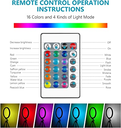 Neewer - Anillo de luz para selfie con soporte para trípode y soporte para  teléfono, control remoto por infrarrojos, intensidad regulable, 16 colores  y 4 modos de flash para maquillaje/transmisión en  directo//Tiktok/grabación
