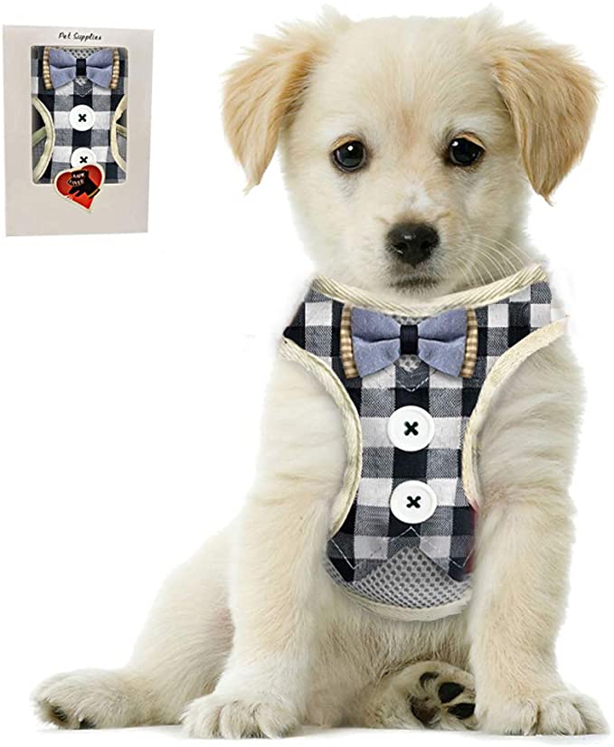 Disfraz Para Perro Salchicha Collar Esmoquin Para Perros